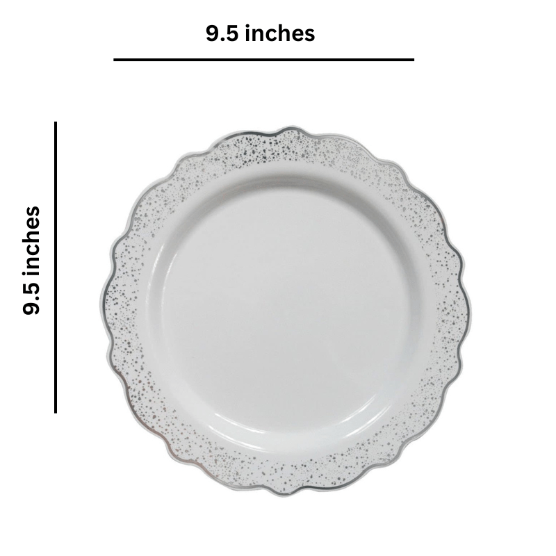 Confetti 9.5" Plastic Plate White Silver 10 Pack
