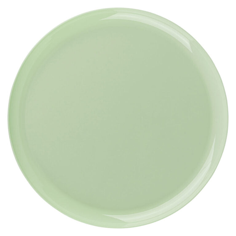 Edge 10" Mint Green Round Dinner Plastic Plates