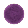Organic Hammered 7" Purple & Gold Disposable Plastic Appetizer/Dessert Plates