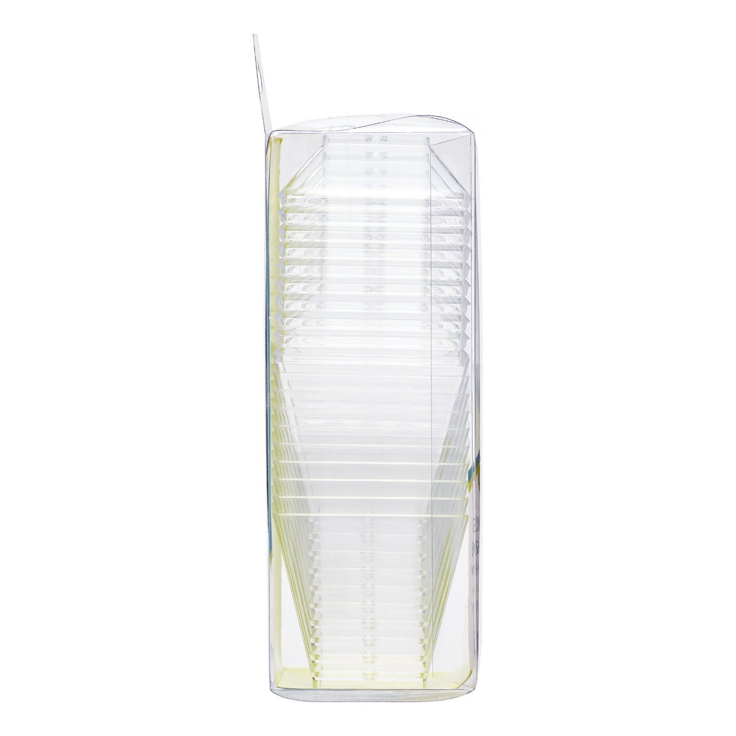 2oz Mini Plastic Gourmet Dish Petite Clear