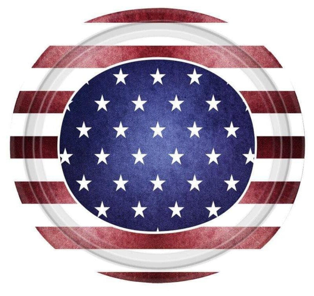 12" Paper Plates American Flag Pattern 14 Pack