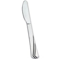 Polished Knife Silver Plastic
