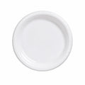 9" White Plastic Plates Disposable
