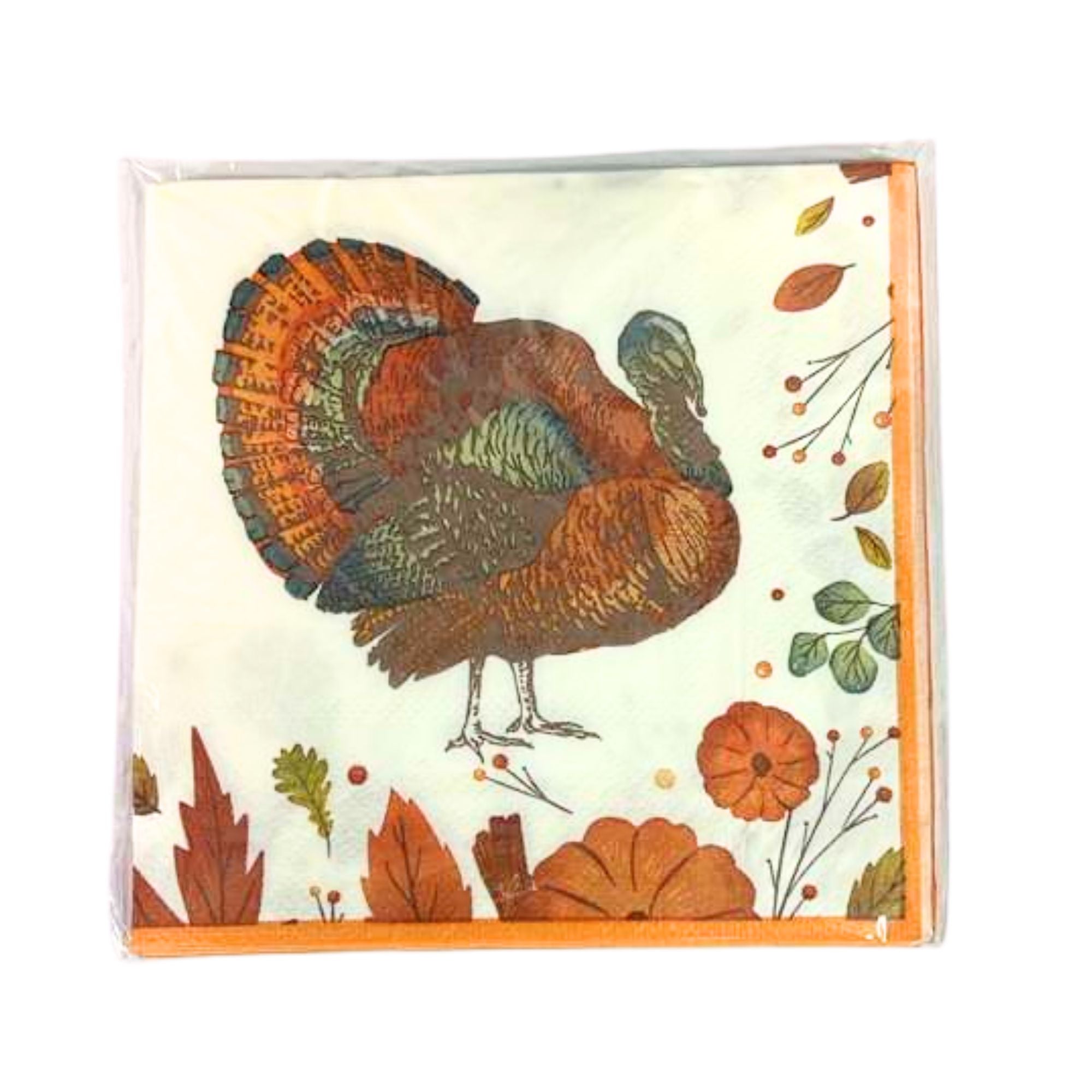 Thanksgiving Beverage Paper Napkins: 16 Pack