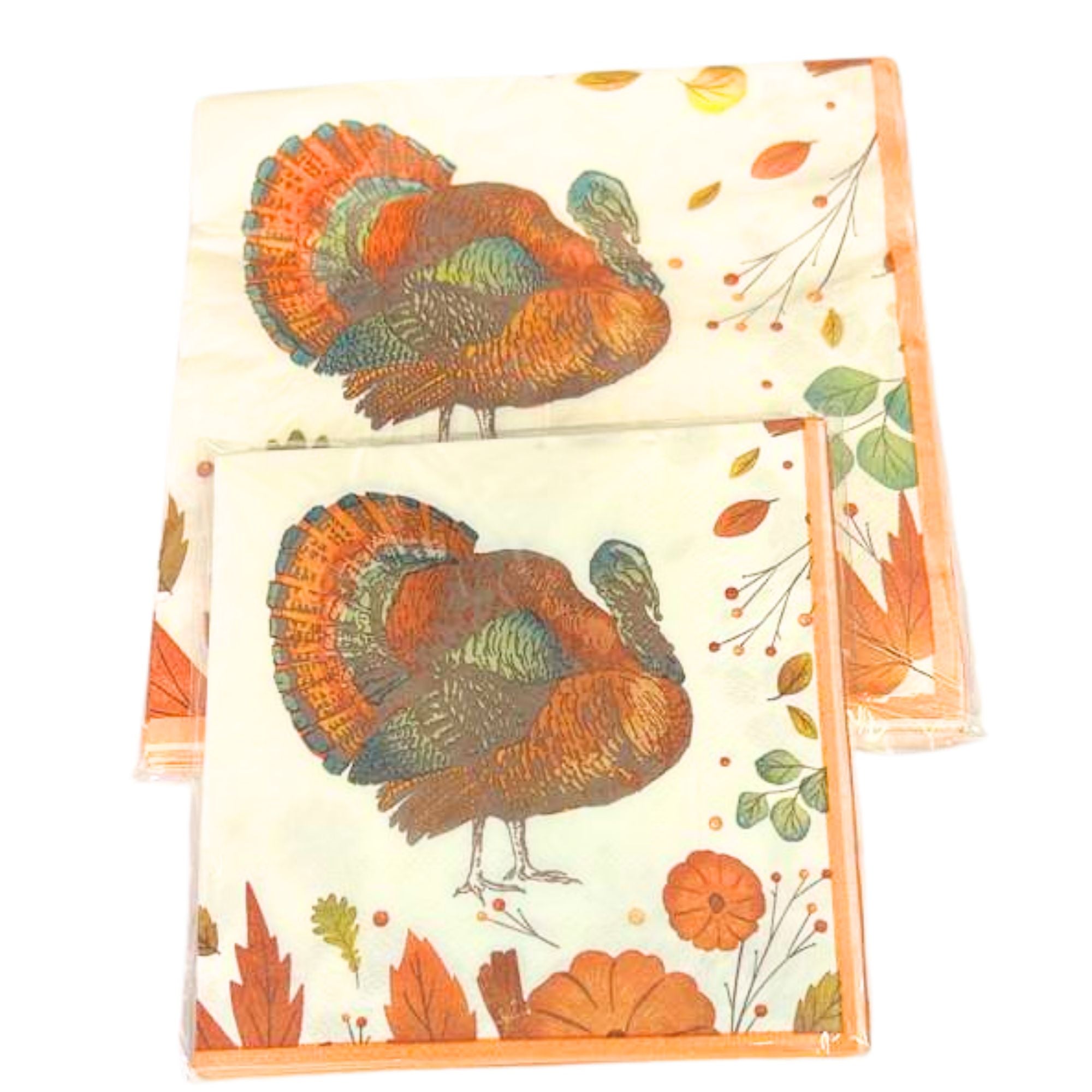 Thanksgiving Beverage Paper Napkins: 16 Pack