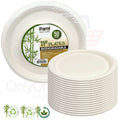 Eco 11″ Biodegradable Compostable Dinner Plates: 50 Pack