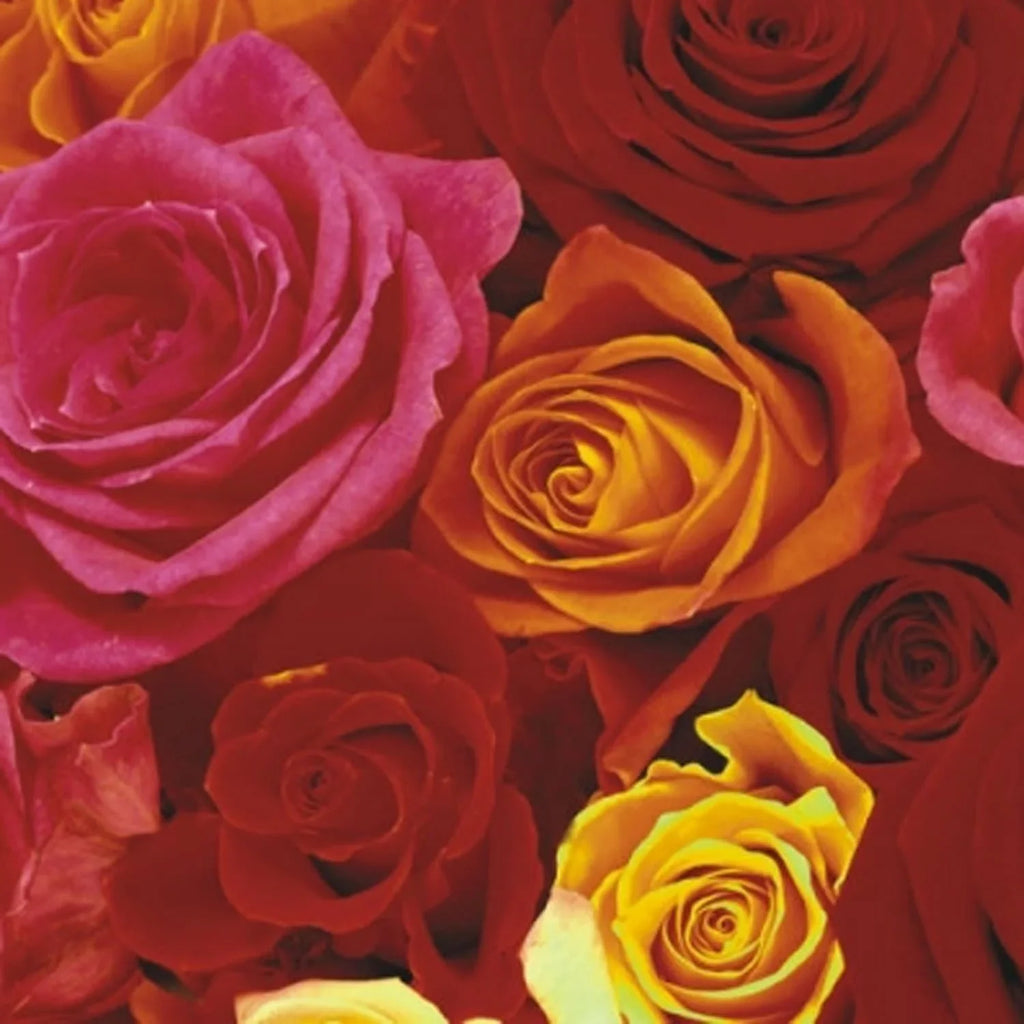 Ecuador Roses Lunch Napkins 20 Pack
