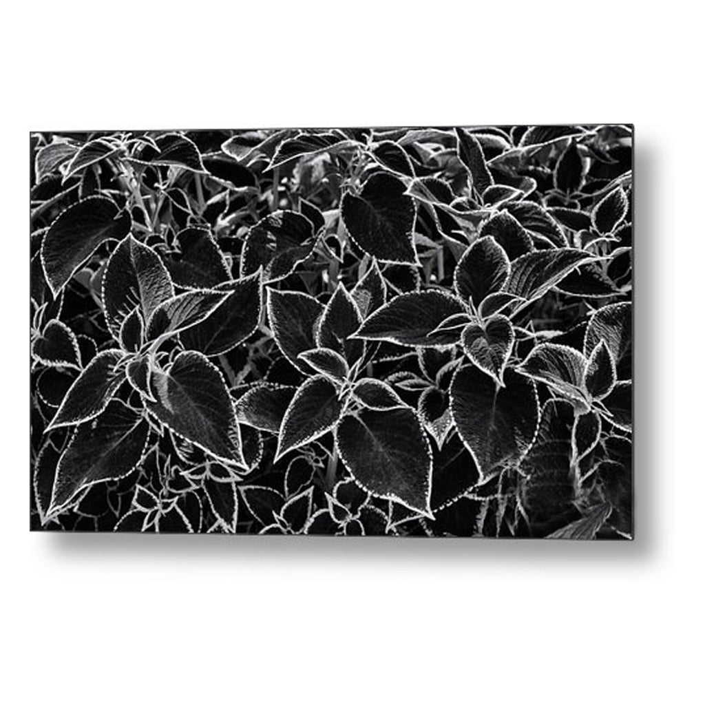 Black Dinner Setting Lunch Napkins 20 Pack