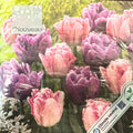 Paper Lunch Napkins Pink Tulip Field Mix Flower 20 Pack
